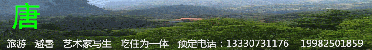 广告2