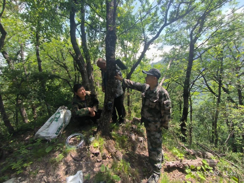 护林员张旭伟在日常巡山。受访者供图